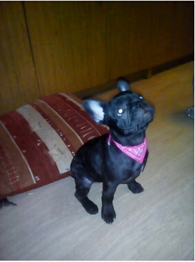 Triangular Bandage Neckerchief accessories  for Pet Dog