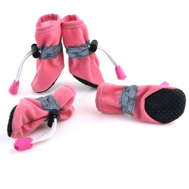 Winter Dog Shoes Offer